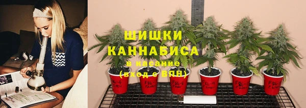 2c-b Мегион