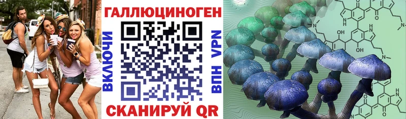 дарнет шоп Урюпинск Галлюциногенные грибы Psilocybine cubensis