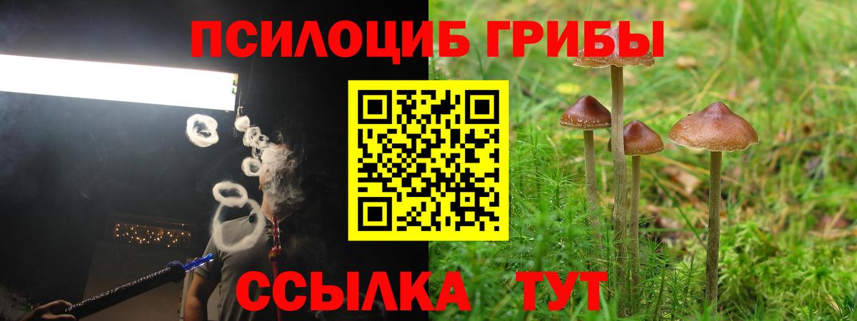 Урюпинск  Галлюциногенные грибы прущие грибы  Вход с VPN 